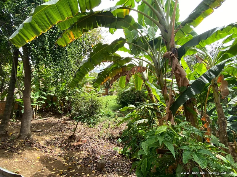 Foto 25 de 27 - Casa para aluguel em Liberdade