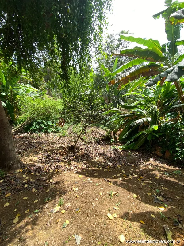 Foto 27 de 27 - Casa para aluguel em Liberdade