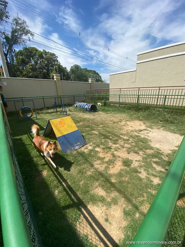 Foto 15 de 21 - Apartamento para aluguel em Elite