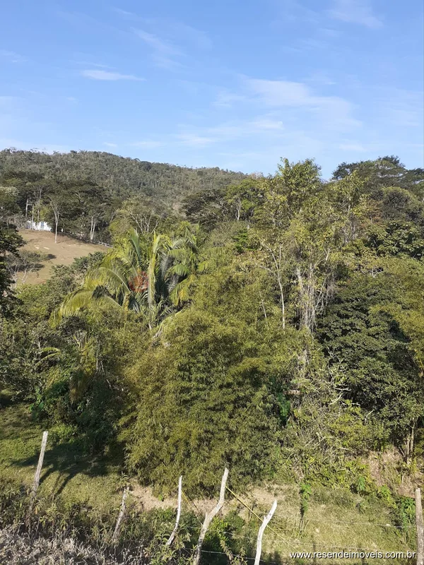 Foto 9 de 11 - Sítio para venda em Centro