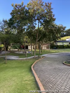 Apartamento para aluguel em Montese