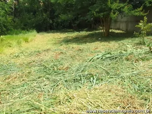 Terreno para venda em Morada da Colina