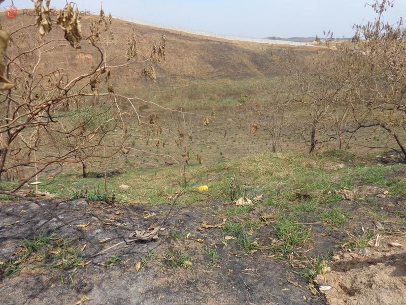 Foto 2 de 2 - Terreno para venda em Parque Ipiranga II