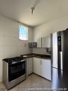 Miniatura 13