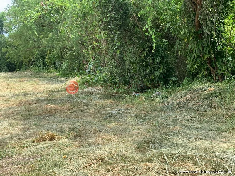 Terreno à venda e para alugar em Itapuca - Foto 3