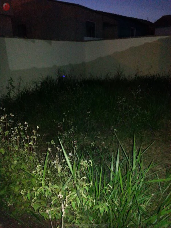 Foto 7 de 16 - Casa para aluguel em Parque Ipiranga