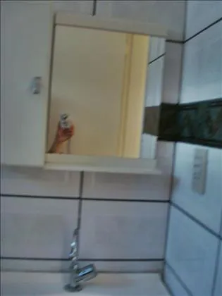 Apartamento para aluguel em Jardim Jalisco