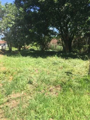 Terreno para venda em Casa da Lua