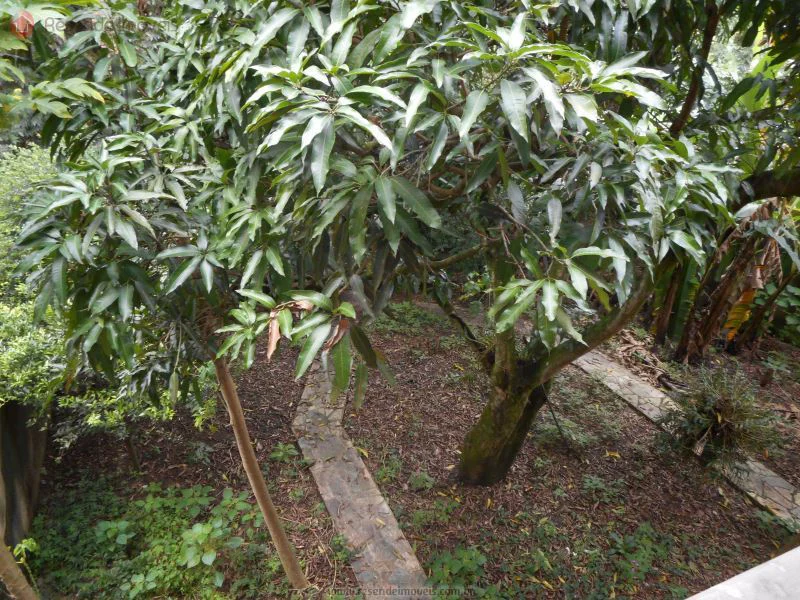 Foto 15 de 57 - Casa para aluguel em Centro