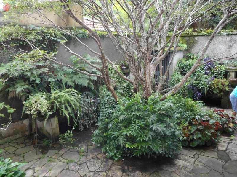 Foto 23 de 57 - Casa para aluguel em Centro