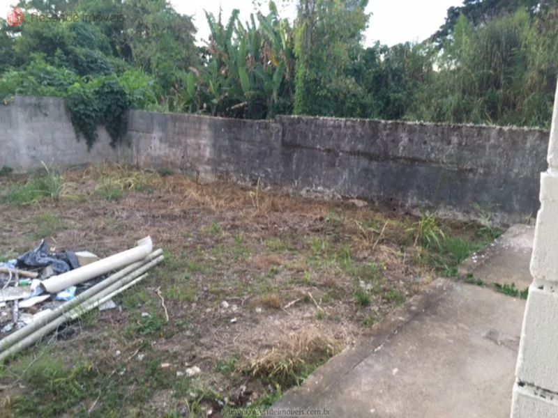 Foto 4 de 10 - Galpão para aluguel em Jardim Brasília II