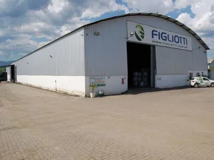 Galpão para aluguel em São Caetano