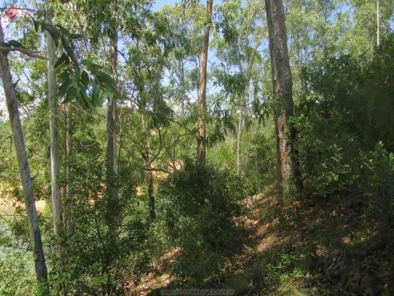 Foto 5 de 35 - Chácara para venda em Alambari