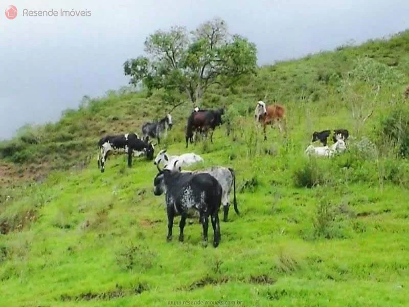 Foto 9 de 35 - Chácara para venda em Alambari