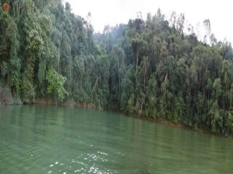 Foto 10 de 35 - Chácara para venda em Alambari