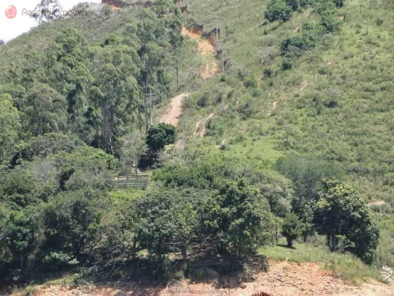 Foto 14 de 35 - Chácara para venda em Alambari