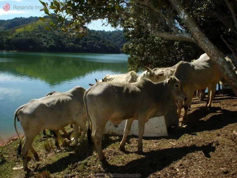Foto 21 de 35 - Chácara para venda em Alambari