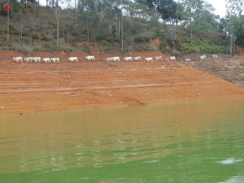 Foto 29 de 35 - Chácara para venda em Alambari