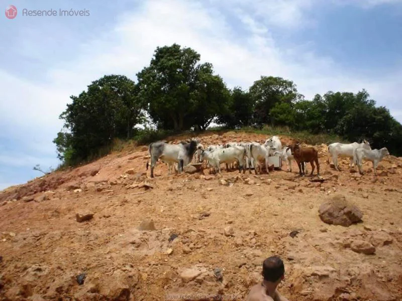 Foto 33 de 35 - Chácara para venda em Alambari
