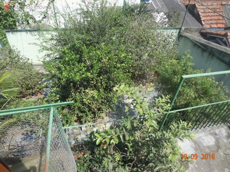 Foto 10 de 18 - Casa para aluguel em Vila Adelaide