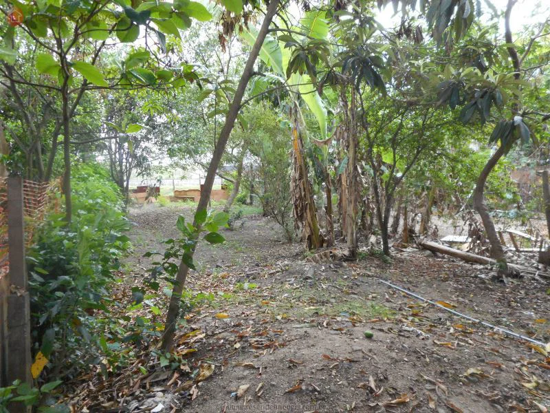 Foto 17 de 20 - Casa para venda em Fazenda da Barra