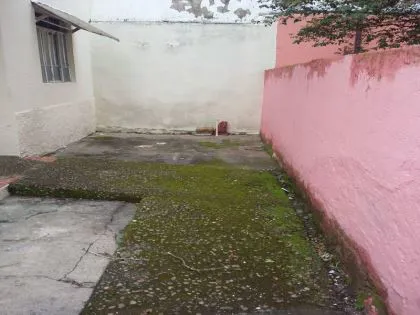 Casa para aluguel em Liberdade