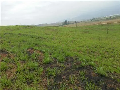 Terreno para venda em Parque Ipiranga