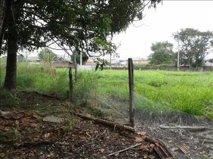 Terreno para aluguel em Fazenda da Barra