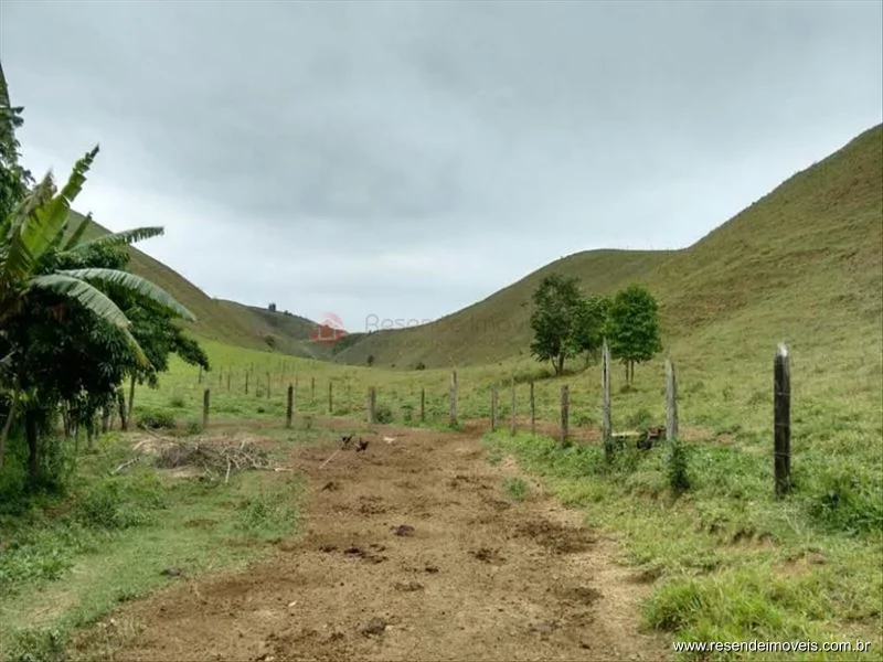Foto 12 de 60 - Fazenda para venda em Boca do Leão