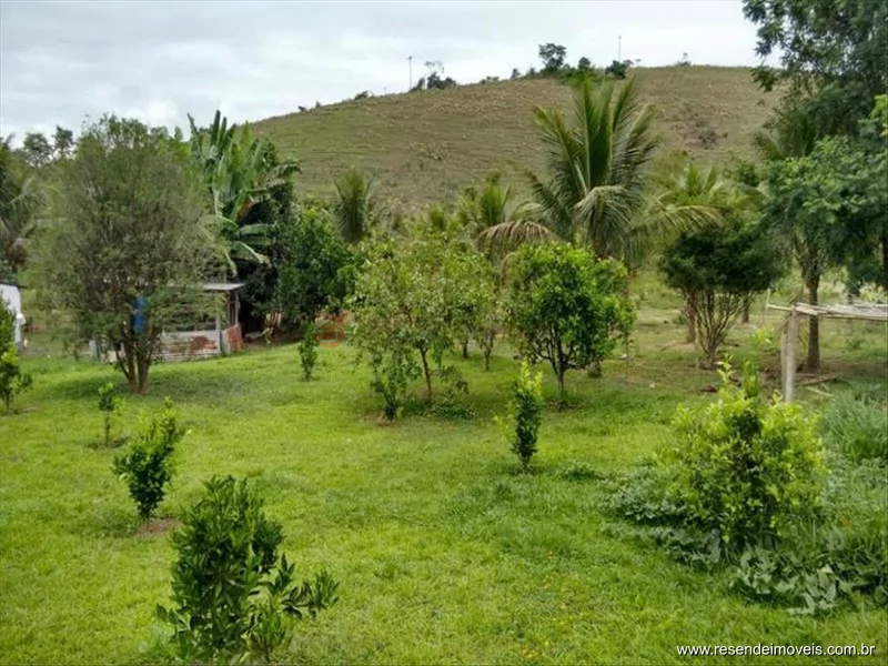 Foto 51 de 60 - Fazenda para venda em Boca do Leão