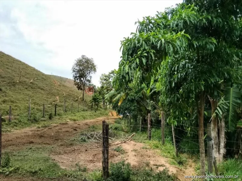 Foto 2 de 60 - Fazenda para venda em Boca do Leão