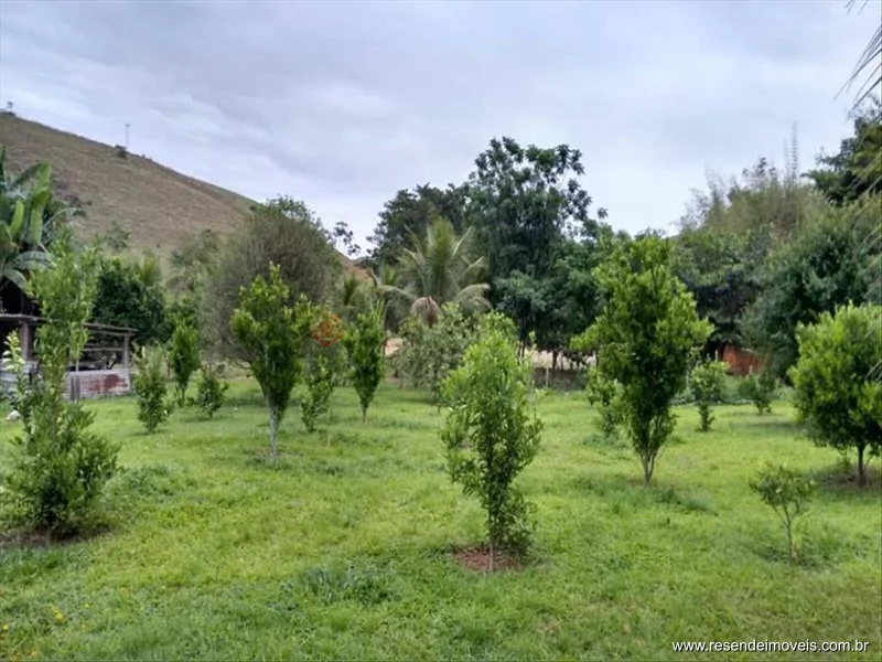 Foto 57 de 60 - Fazenda para venda em Boca do Leão