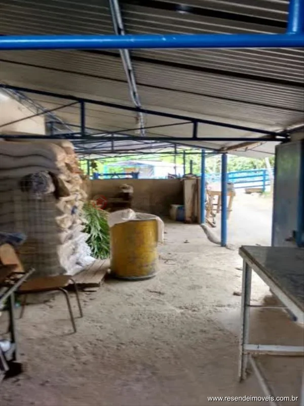 Foto 10 de 60 - Fazenda para venda em Boca do Leão