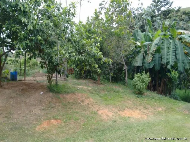 Foto 44 de 60 - Fazenda para venda em Boca do Leão