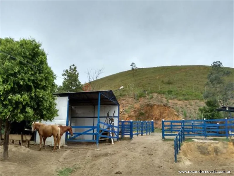 Foto 15 de 60 - Fazenda para venda em Boca do Leão