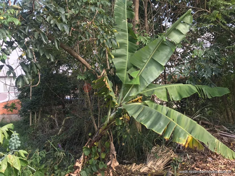 Foto 4 de 4 - Terreno para venda em Parque Ipiranga