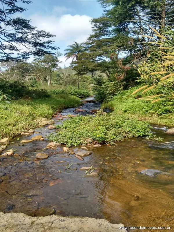 Foto 13 de 22 - Sítio para venda em Cabral