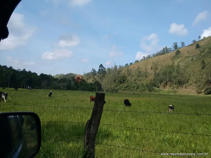 Foto 16 de 22 - Sítio para venda em Cabral