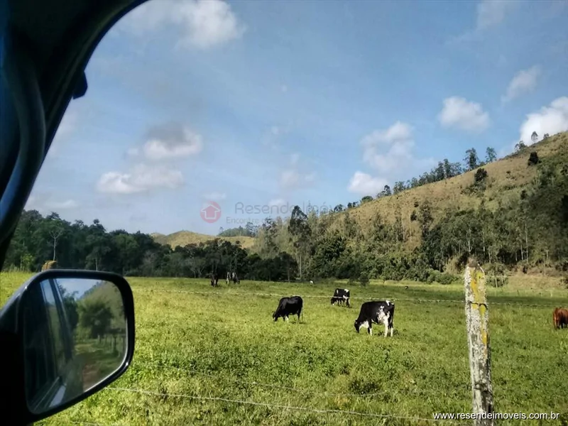 Foto 19 de 22 - Sítio para venda em Cabral