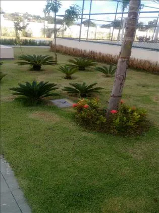 Apartamento para aluguel em Morada da Montanha