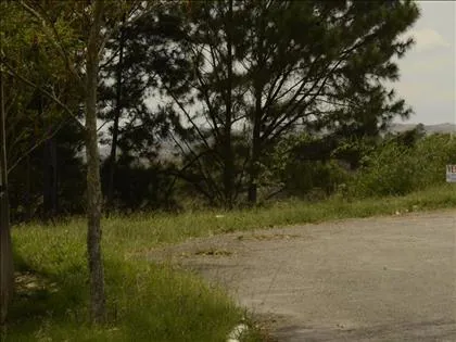 Terreno para venda em Morada do Bosque