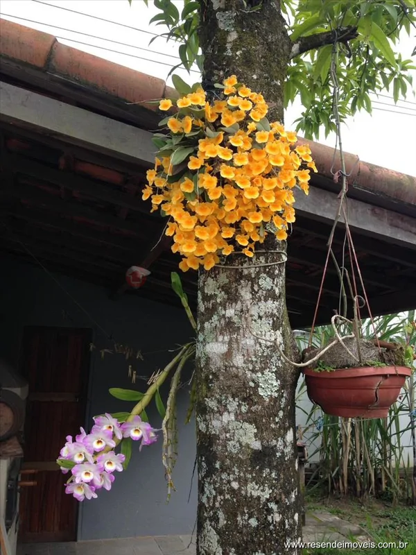 Foto 10 de 15 - Casa para aluguel em Casa da Lua