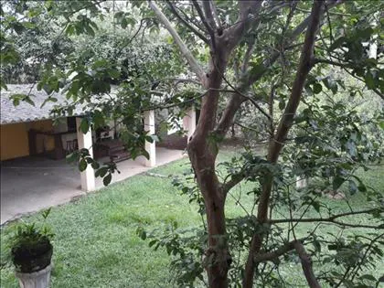 Casa para aluguel em Centro