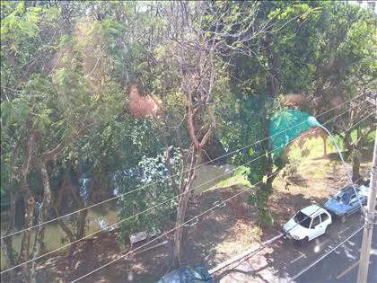 Apartamento para aluguel em Campos Elíseos