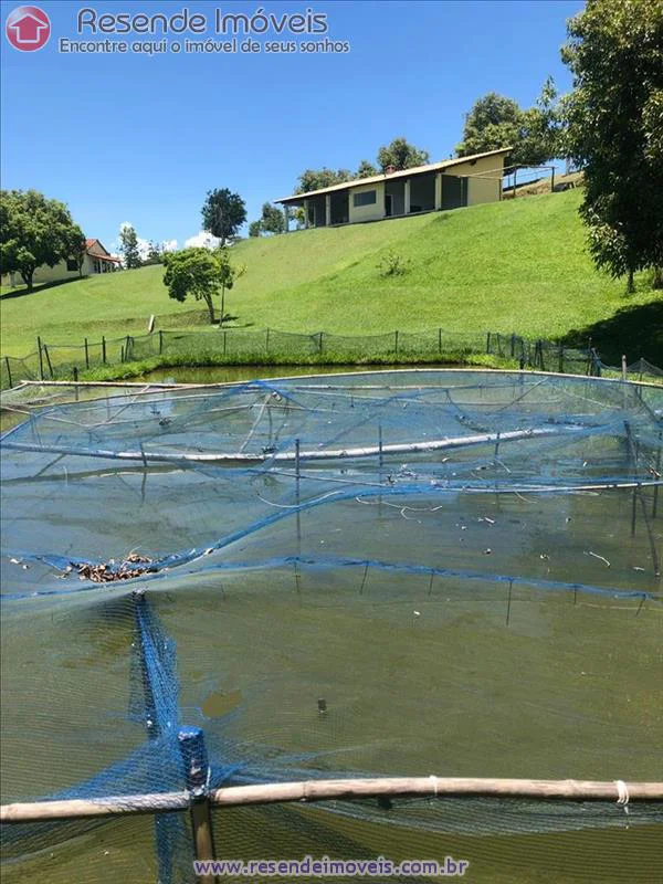 Foto 9 de 17 - Sítio para venda em Paraíso