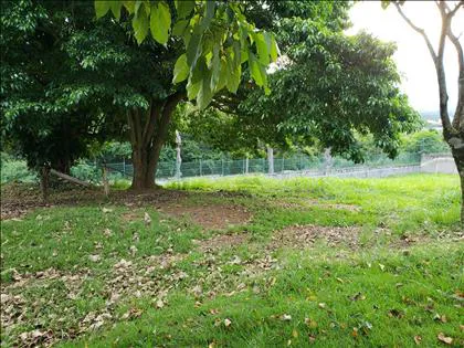 Terreno para venda em Jardim Brasília II