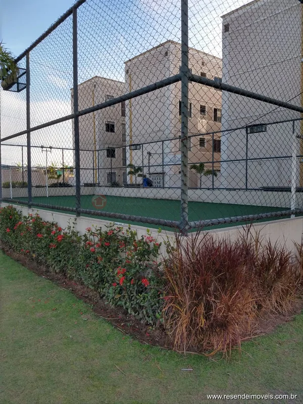 Foto 16 de 28 - Apartamento para venda em Mirante de Serra