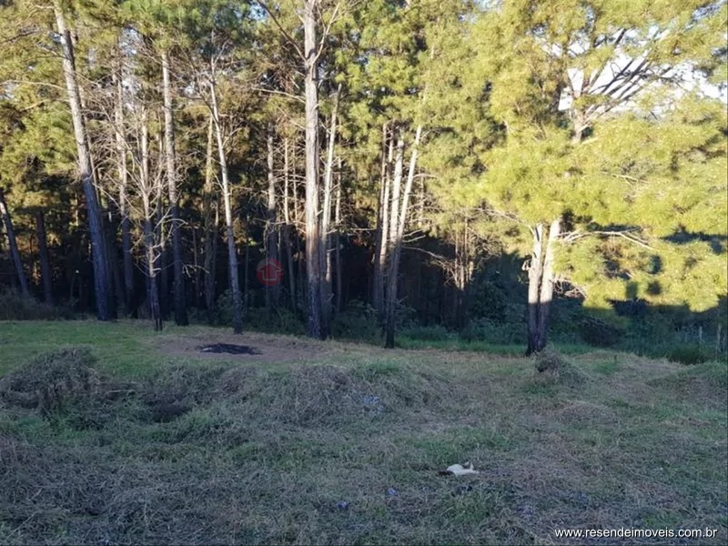 Foto 5 de 7 - Terreno para venda em Morada do Bosque