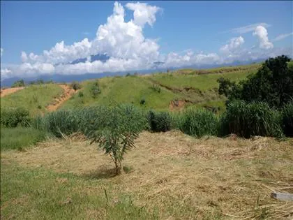Terreno para venda em Morada da Colina