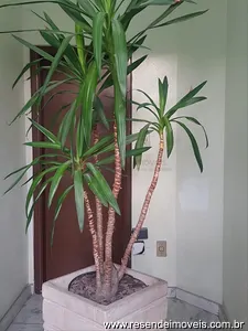 Sala Comercial para aluguel em Campos Elíseos